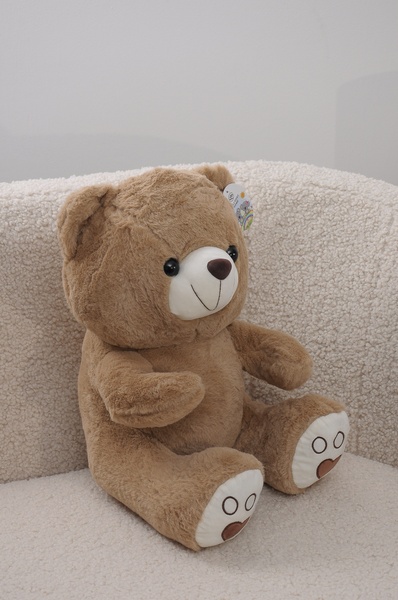 Плед флисовый детский + игрушка S PLD-D-bear-lightbrown-S фото