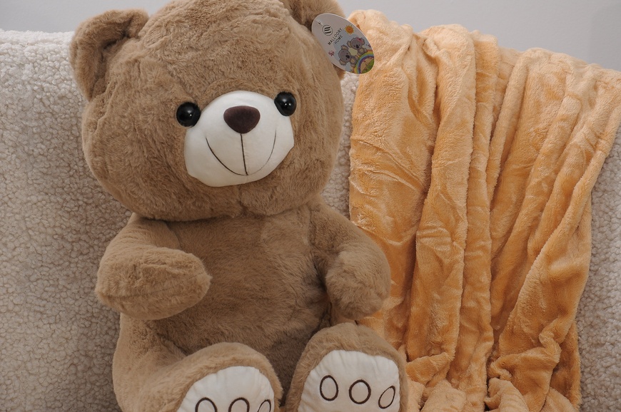 Плед флисовый детский + игрушка S PLD-D-bear-lightbrown-S фото