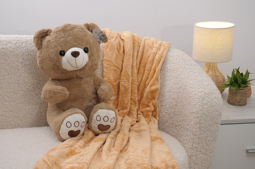 Плед флисовый детский + игрушка S PLD-D-bear-lightbrown-S фото