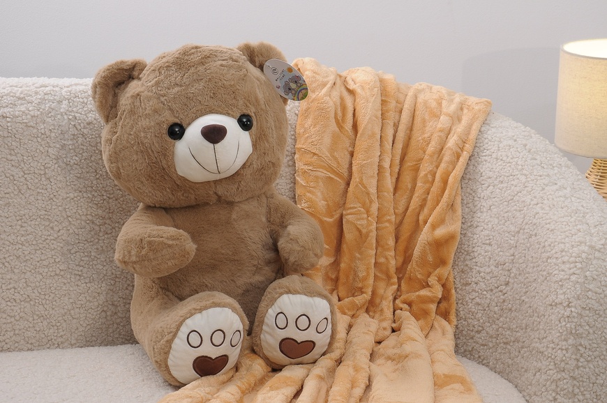 Плед флісовий дитячий + іграшка M PLD-D-bear-lightbrown-S фото