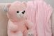 Плед флисовый детский + игрушка S PLD-D-bear-pink-S фото 2