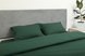 Комплект постільної білизни Amore Бязь KPB-A1,5-Glux-1034green(50x70)_ фото 3